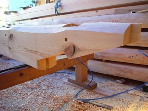 gallery_10